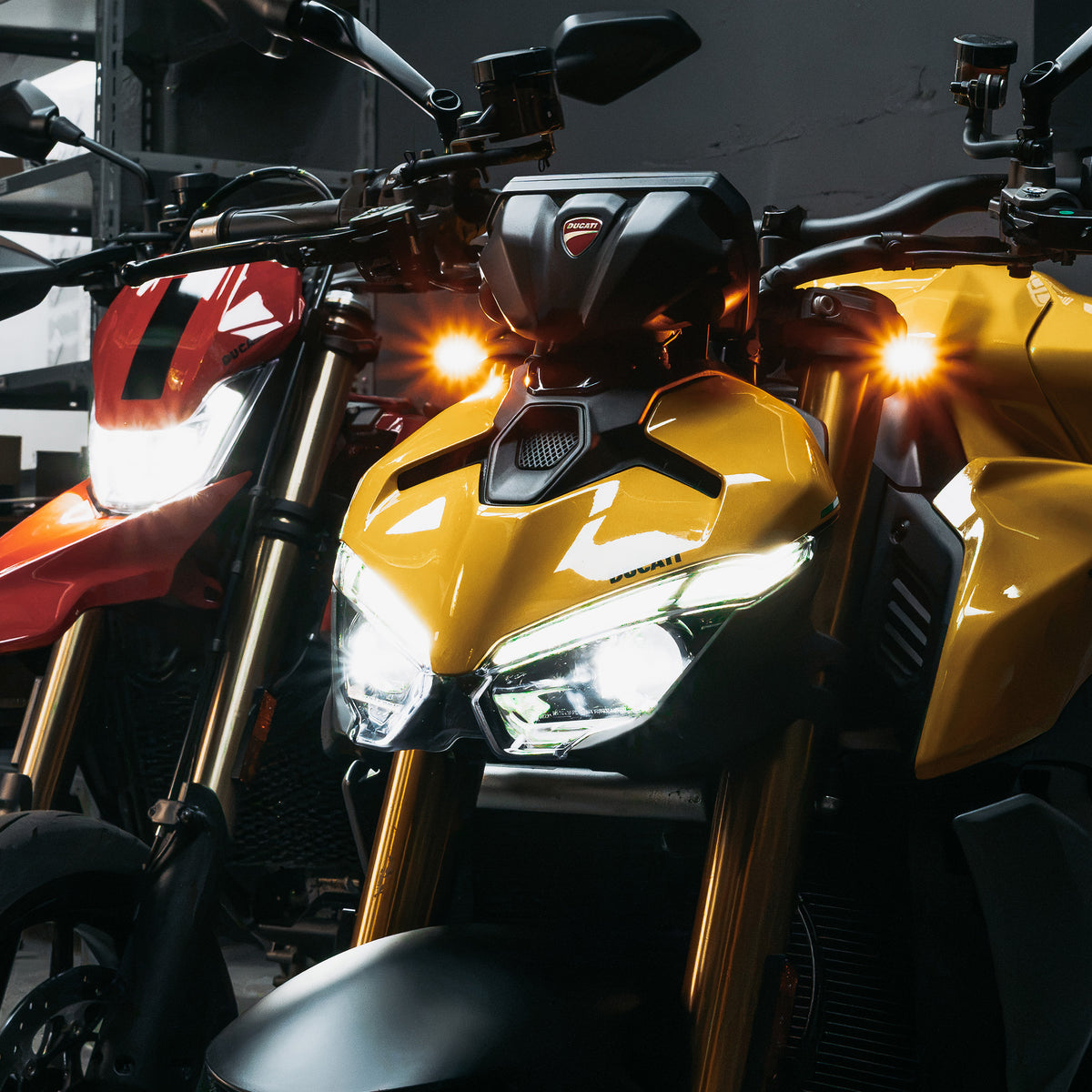 MOTOISM Gabelschelle Type Four Evo (zweiteilig) – für Ducati | Plug & Play